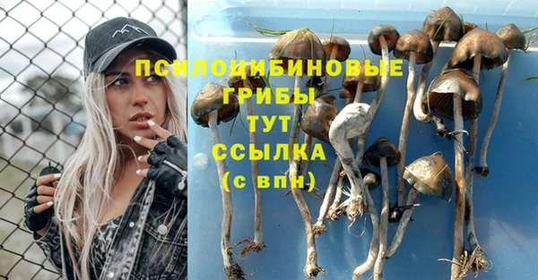 прущие крисы Инта