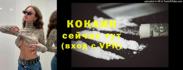 твердый Инсар