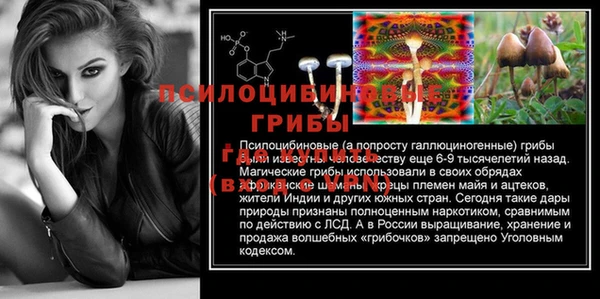 прущие крисы Инта