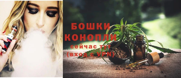 твердый Инсар
