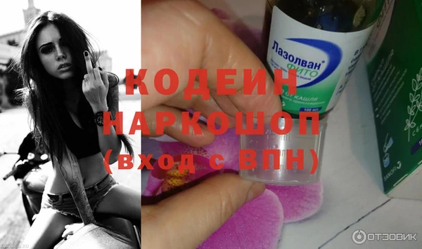твердый Инсар