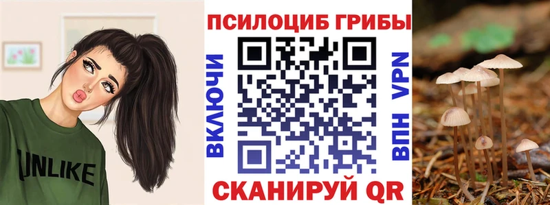 где продают   блэк спрут зеркало  Псилоцибиновые грибы Magic Shrooms  shop состав  Краснотурьинск 