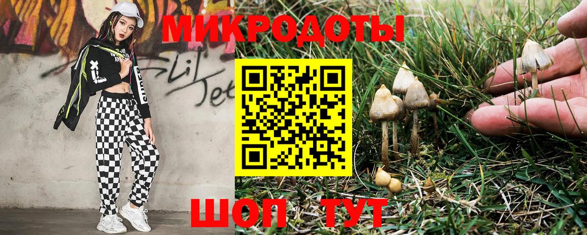 Краснотурьинск  Псилоцибиновые грибы мухоморы  Вход с VPN 